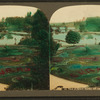 View of flower garden and lakes.]