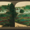 View of flower garden and lakes.