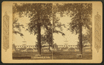 Fair grounds, St. Louis.