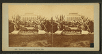 Shaw's Garden, St. Louis, Mo.