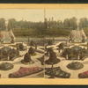 Central view from Palm-House.