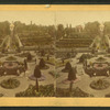 Central view from Palm-House