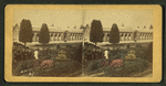 North End, showing New Palm-House.