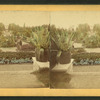 General View from Palm-House.