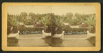 General View from Palm-House.