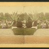 General View from Palm-House.