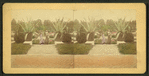 General View from Palm-House.