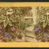 Callacin plant-house.