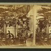 Palm House - Interior.