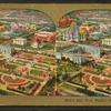 Bird's eye view, World's Fair, St. Louis.