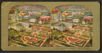 Bird's view, World's Fair, St. Louis.