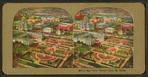 Bird's view, World's Fair, St. Louis.