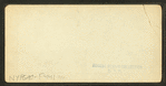 General view of Pike, World's Fair, St. Louis.