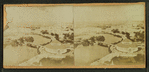 Bird's eye view of Exposition, St. Louis Missouri