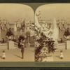 Festal beauty of leaping fountains and noble exhibit buildings around Basin.
