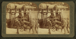 Twelve-in. Disappearing Gun, on Government Hill-Uncle Sam's huge coast defender.