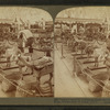 Primitive methods of carrying freight and passengers-Transportation Bldg.