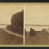 View of the Mississippi River from Brown's Garden.
