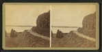 View of the Mississippi River from Brown's Garden.
