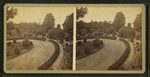 Garden Avenue.