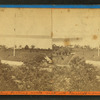 View of cemetery looking north-west, with Flagstaff and Greenhouse.