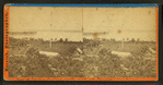 View of cemetery looking north-west, with Flagstaff and Greenhouse.