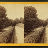 Vicksburg Cemetery, [Avenue].
