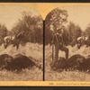 Buffalo hunting in Montana.
