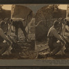 Look here, old man, where the bullet struck--to down an elk with one shot is pretty good luck."  Elk hunt, Montana, U.S.A.