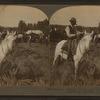 Cowboy, Bronco corral and camps, banks of the Yellowstone, Montana, U.S.A.