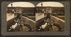 Shipping beef to the Chicago market, cattle industry, Montana, U.S.A.
