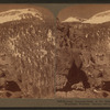 Hunting mountain sheep in the dangerous craigs of the Gallatin mountains, Montana.