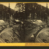 Swift's station, Carson and East Bigler road--eastern summit of Sierra Nevada mountains.