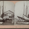 Pleasure Yachts at the Pier, Atlantic City, N.J.
