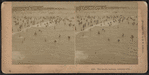 The merry bathers, Atlantic City.