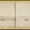 View of the Ocean.