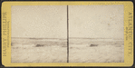 View of the Ocean.