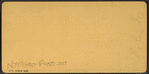 Cape May, N.J. [View of waders in the Ocean.]