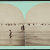 Cape May, N.J. [View of waders in the Ocean.]