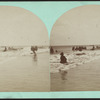 Cape May, N.J. [Beach scene.]
