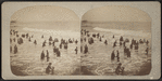 Bathing scene.