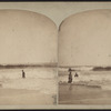 Bathing scene.