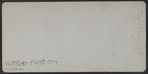 Cape May, N.J. [View of waders.]
