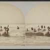 Cape May, N.J. [View of waders in the Ocean.]