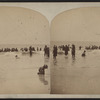Cape May, N.J. [View of waders in the Ocean.]