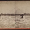 Cape May, N.J.