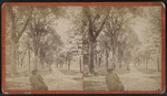 View of Military Park, Newark, N.J.