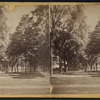 View of [Military Park], Newark, N.J.
