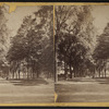 View of [Military Park], Newark, N.J.