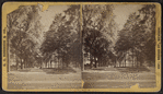 View of [Military Park], Newark, N.J.